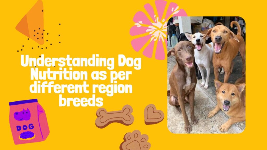 Understanding Dog Nutrition as per different region breeds