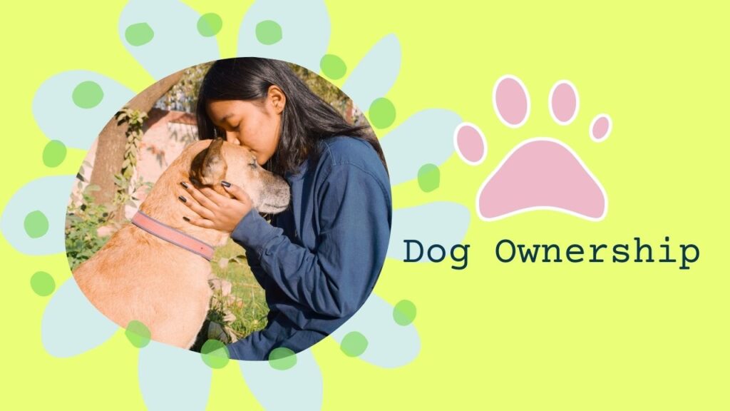 Dog Ownership 101: Your Guide to a Happy, Healthy Companion