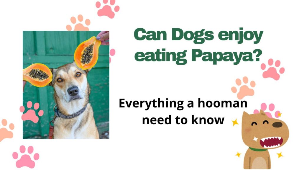 Can your Dogs enjoy eating Papaya?