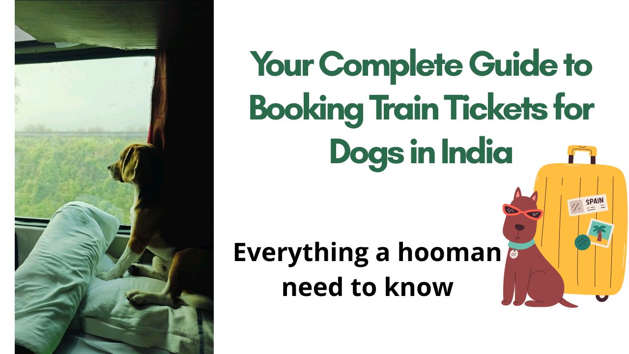 Your Complete Guide to Booking Train Tickets for Dogs in India